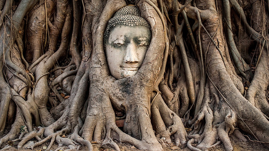 https://fotos.hellotrip.es/tailandia/Tailandia_Ayutthaya_cabeza_buda.jpg